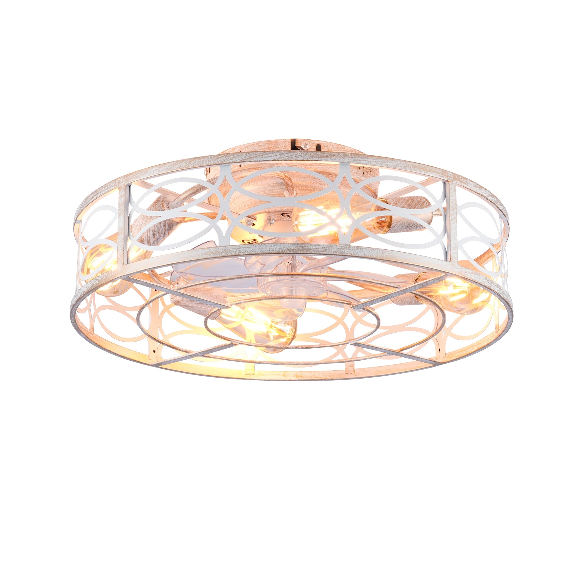 20" Caged Ceiling Fan with Lights and Remote Control