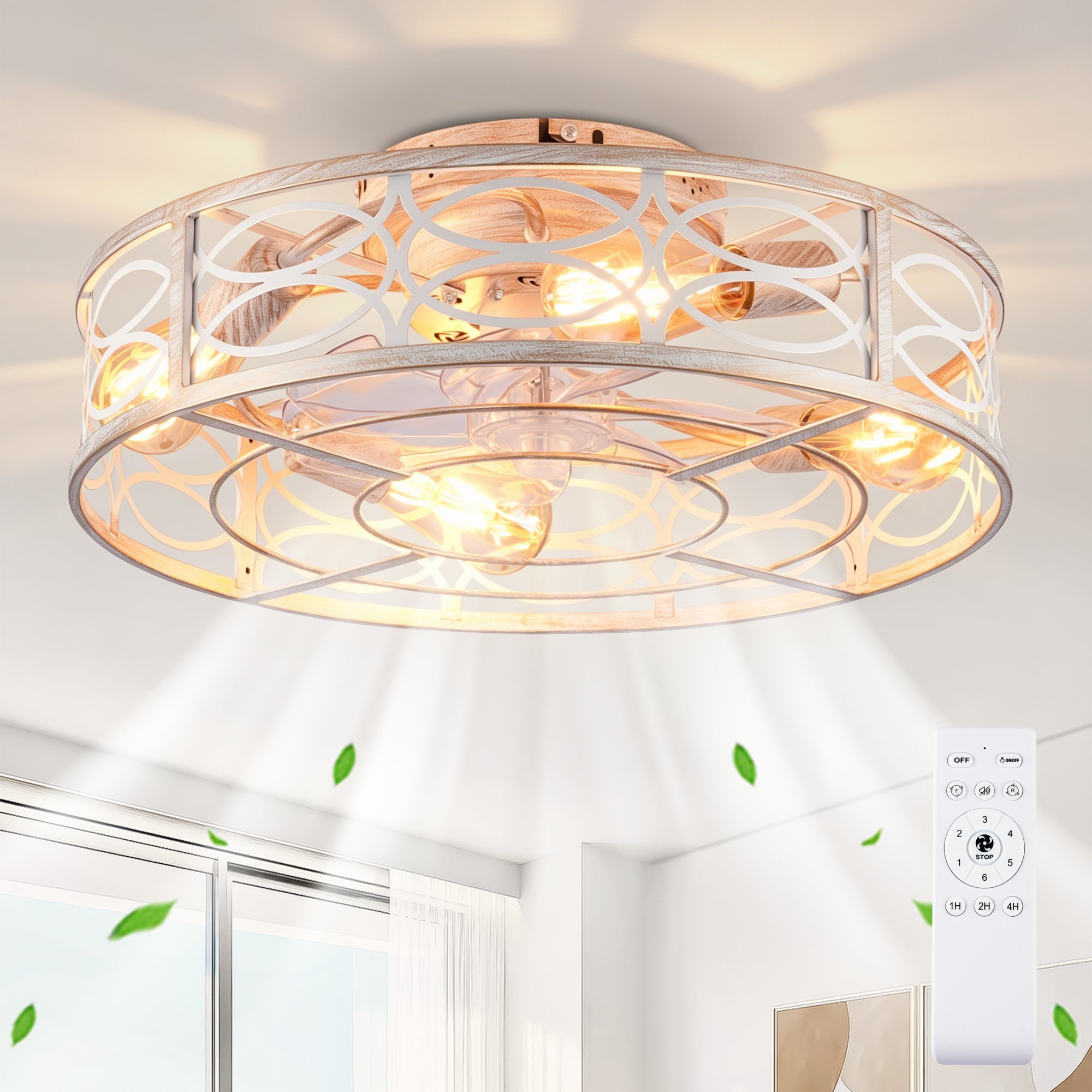 20" Caged Ceiling Fan with Lights and Remote Control