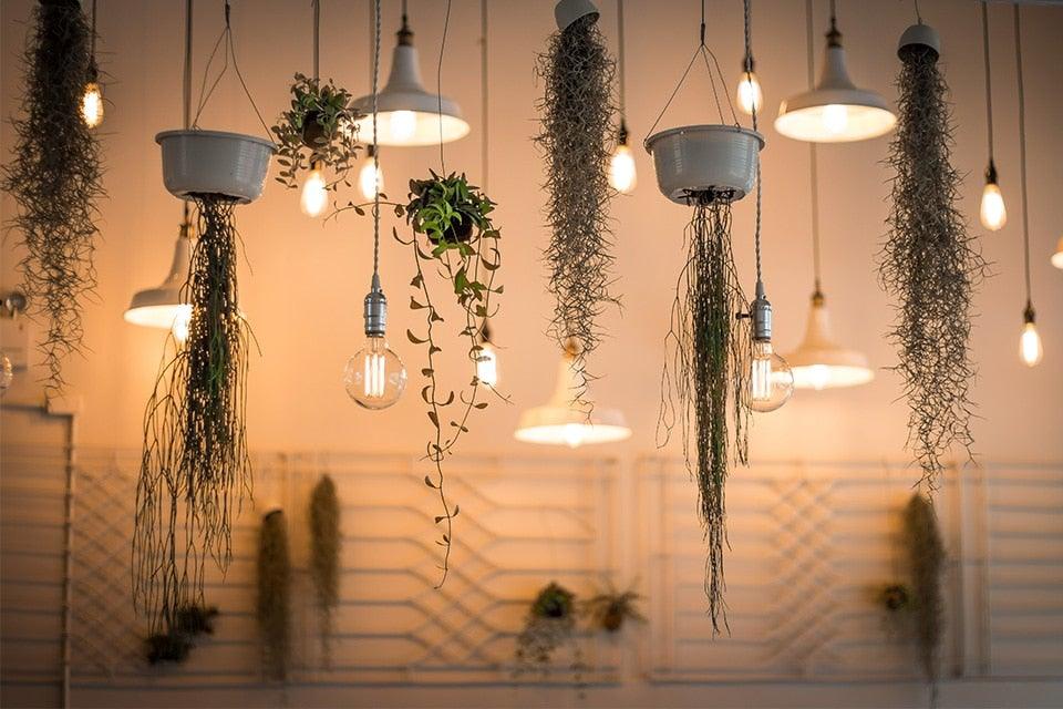 Dimmable Light Bulb Retro Vintage Edison Bulb Incandescent Ampoule Bulbs Vintage Edison Lamp Retro Light Vintage Bulbs Modern Style Square Spiral Filament Incandescent Light
